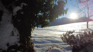 Ferienhaus Dauerstein - Reith im Alpbachtal - 3