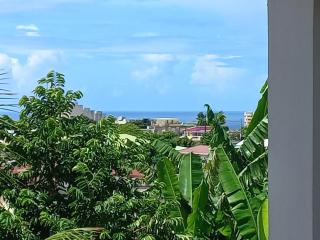 Colibri - Fort-de-France - 7