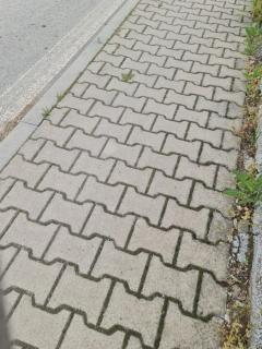 Ubytování u vody - - 5