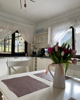 Casa Mălina Putna - 1