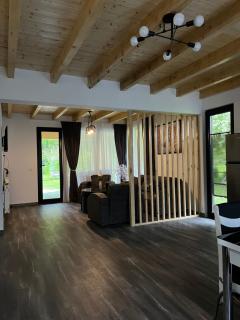 MTA house - Borjomi - 4
