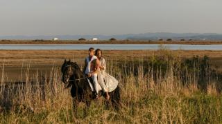Flamingo Living Halkidiki - The Villas - Agios Mamas - 4