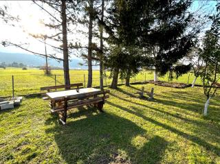 Peace Holiday Home - 2