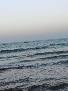 Apartment in port Ghalib - Port Ghalib - 2