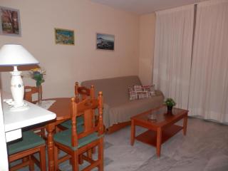 laguna 7 4.14 - Torrox - 4