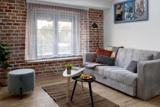 Apartmani Pobeda - Bela Crkva - 8