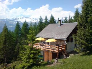 Chalet Bergfriede - Rosswald - 0