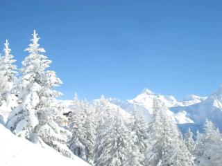 Chalet Bergfriede - Rosswald - 7