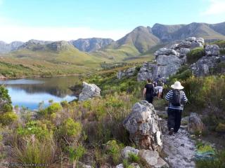 Whale Tails - Kleinmond - 0