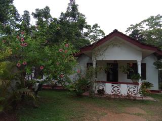 Cozy OMA House - Weligama - 9
