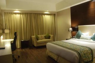 Hotel Plutos Vasant Kunj - Neu-Delhi - 3