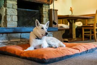 Hotel Alpen Arnika - 6