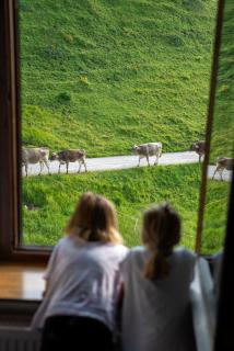 Hotel Alpen Arnika - Tauplitzalm - 8