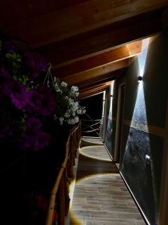 Velaj Guest House - - 3