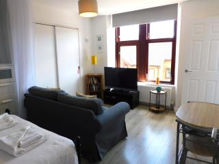 Modern bright studio apartment in south Glasgow - Glasgow - 7
