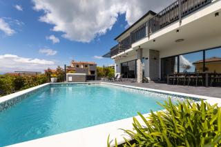 Villa Niko with heated pool, sauna and jacuzzi - Linardići - 6