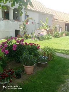 Erika Apartman - Szentgyörgyvölgy - 2