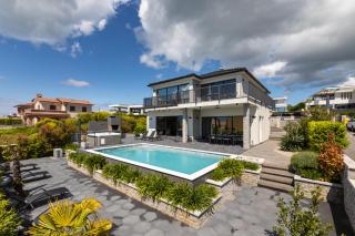 Villa Niko with heated pool, sauna and jacuzzi - Linardići - 3