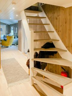 Cozy Modern Cabin Near Sjusjøen - Mesnali - 3