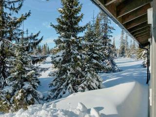 Cozy Modern Cabin Near Sjusjøen - 2