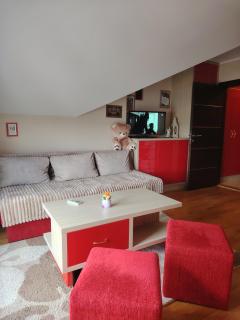 Apartman Oaza - Vrnjačka Banja - 3