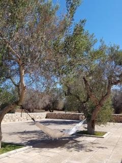 Residence Ulivo - Alliste - 2