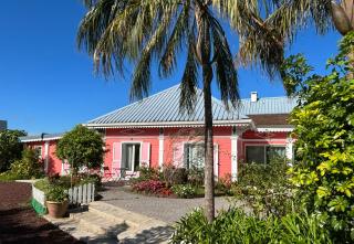 L'ECHELLE - La Plaine-des-Palmistes - 8