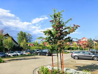 visit baltic - Ułańska Apartament z 1 sypialnią i balkonem UL33 - Świnoujście - 1