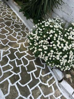 Olive tree the master bed and balcony apartment - 7