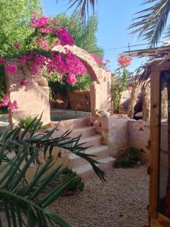 Siwa Gardenia Cottage اكواخ سيوة جاردينيا - Siwa - 0