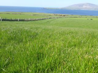 Ard Na Mara Ballymore, Dingle - Ventry - 7