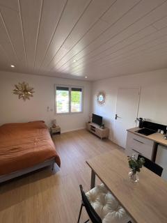 Cozy studio proche Zenith, A75 "émile" - Cournon-d'Auvergne - 1
