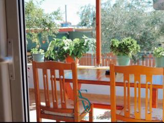 Stela Apartments - 2