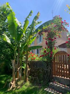 Maison de vacances l épicerie - Auvillar - 6