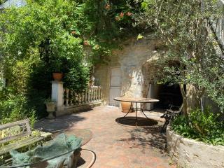 The Cygnet at the 'Songbird Sanctuary' - 2