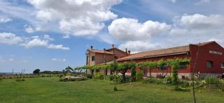 La Foresteria di Podere Muracciolo - Tuscania - 7