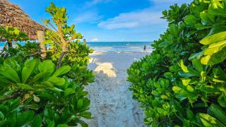 Zoi Retreat Hotel Zanzibar - 1