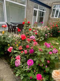 House in Quba - Quba - 8