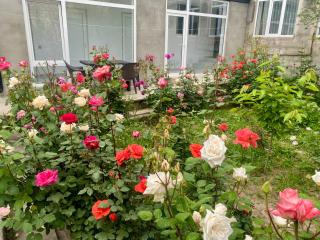 House in Quba - Quba - 7