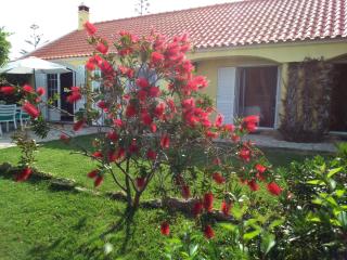 Quinta Do Mar - Colares - 4