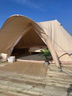 Springfield glamping - Marwood - 4