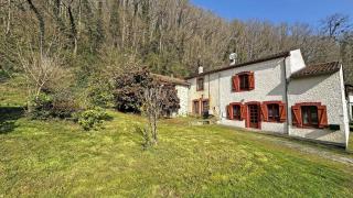 Le martin-pecheur - Saint-Bonnet-de-Bellac - 8