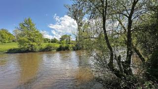 Le martin-pecheur - Saint-Bonnet-de-Bellac - 6