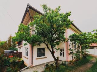 Casa Matheus - Bisericani - 9