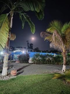 Finca La Guitarra - Maravélez - 8