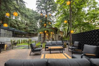 The Chestnut Grove - Dalhousie - 7
