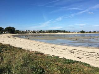 Belle maison avec jardin clos proche plage à l'ILE GRANDE - Réf 291 - Pleumeur-Bodou - 6