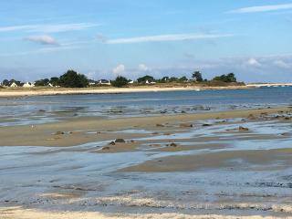 Belle maison avec jardin clos proche plage à l'ILE GRANDE - Réf 291 - Pleumeur-Bodou - 4