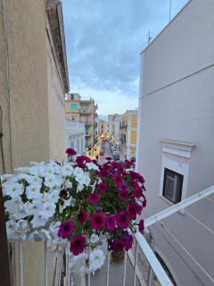 Little Home - Trani - 9