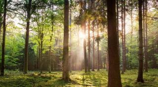 Peaceful chalet with free parking and bikes - 2